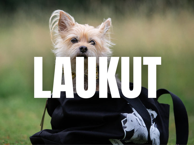 Laukut & reput