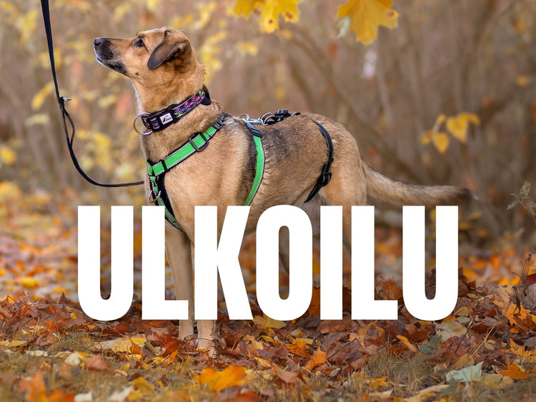 Ulkoilu