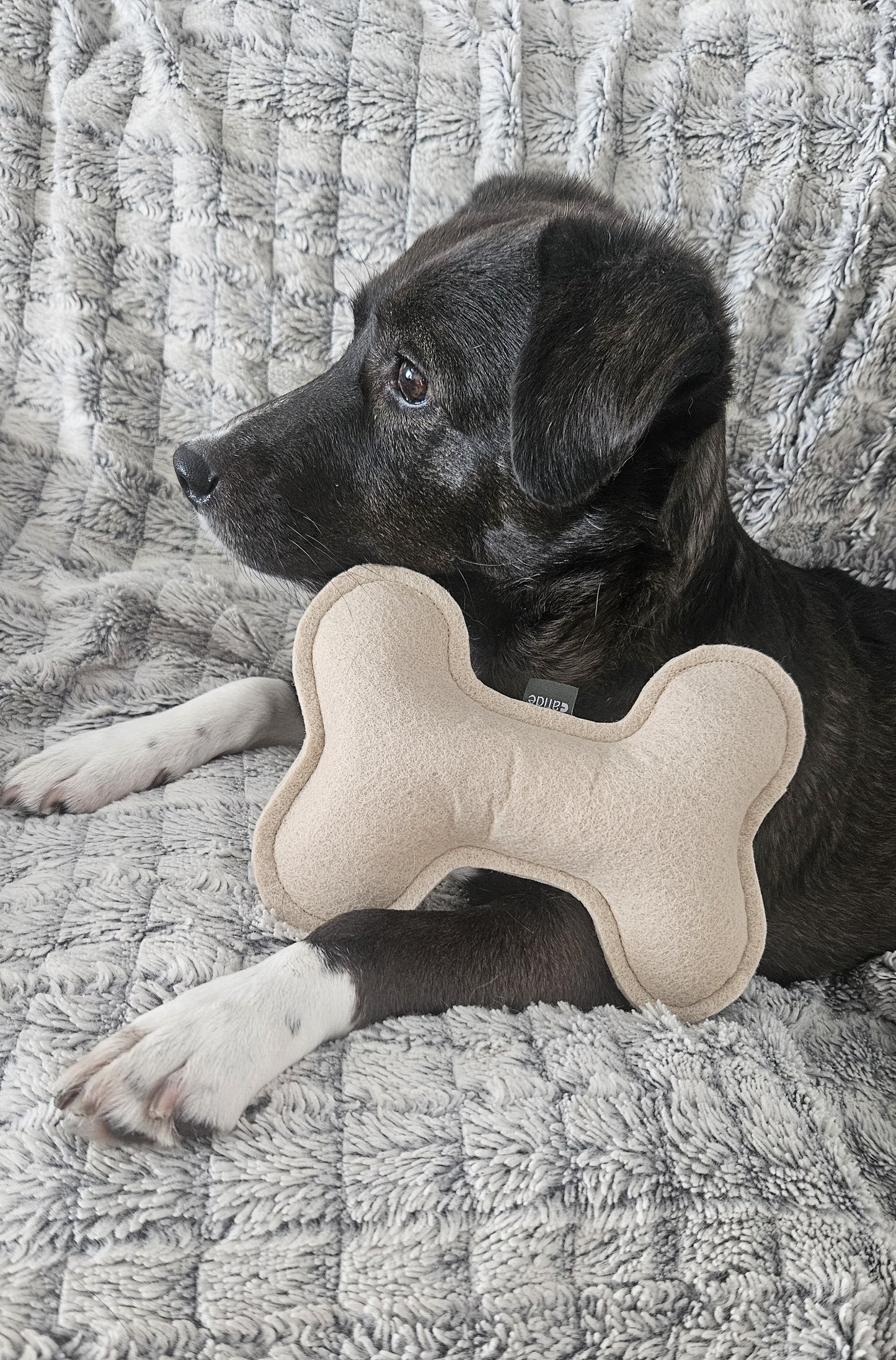Luupehmolelu, beige