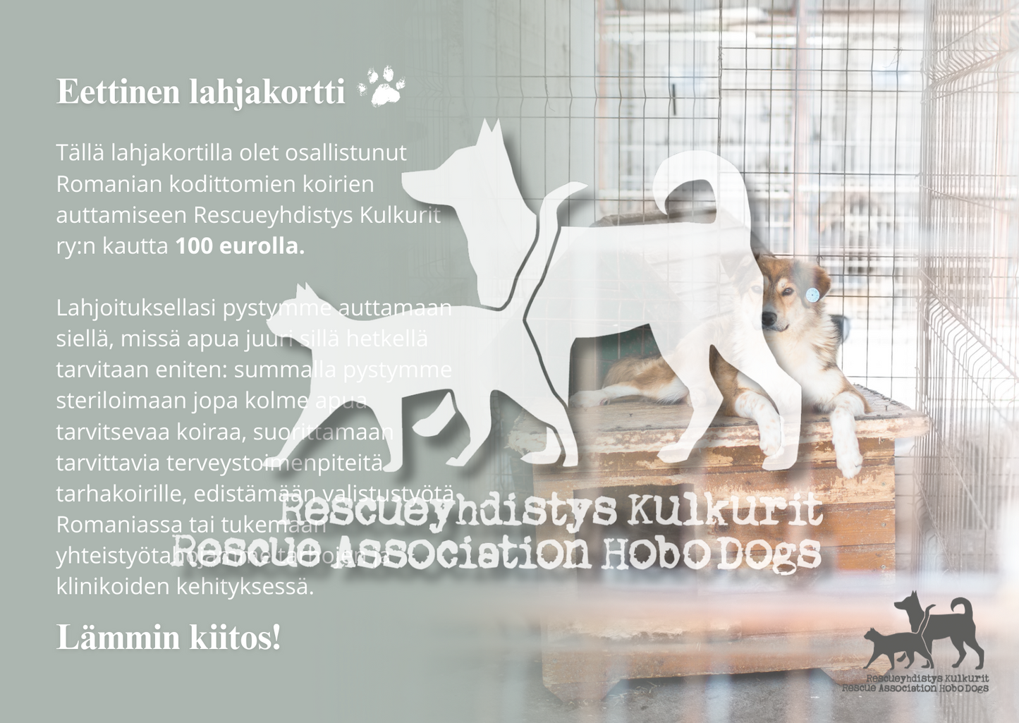 DIGITAALINEN LATAUS: yleinen eettinen lahjakortti 100 €