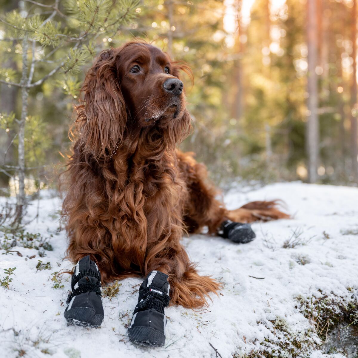 Halla heijastavat softshell-tossut