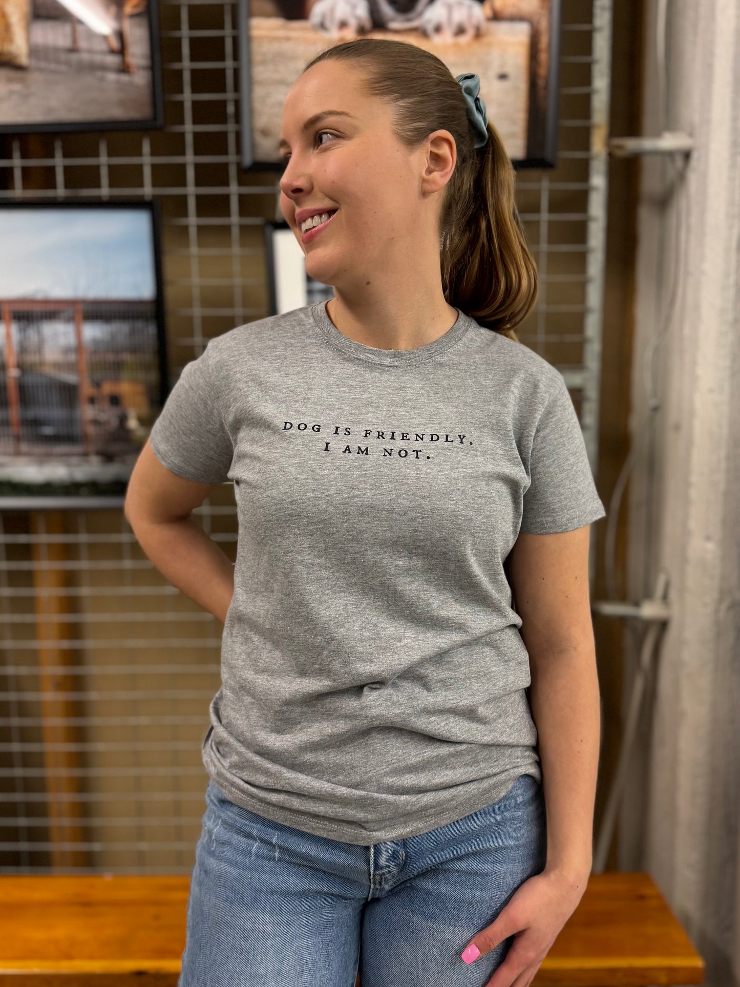 T-paita - Dog is friendly. I am not. Harmaa