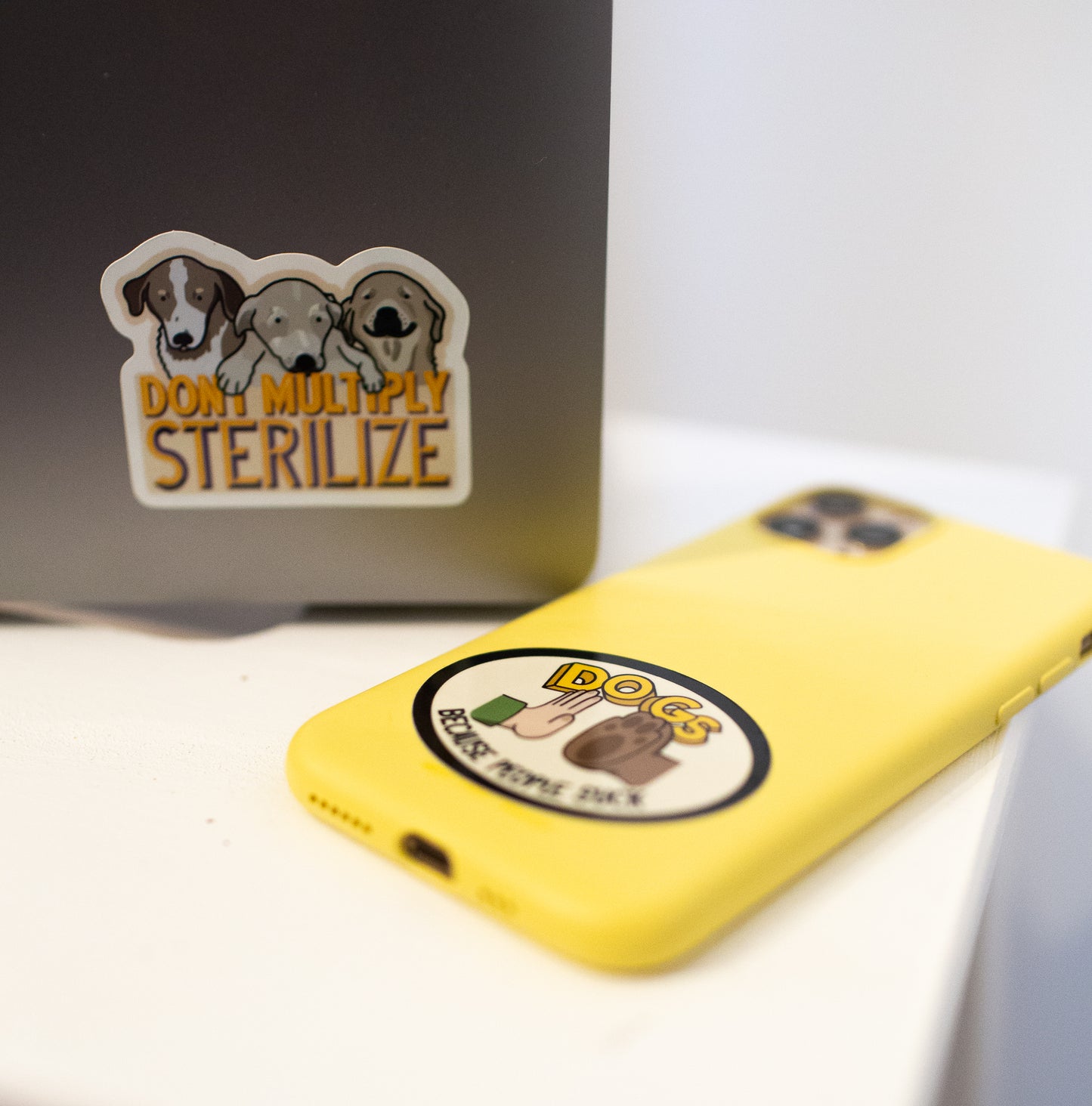 Tarra-arkki Koirat, setti