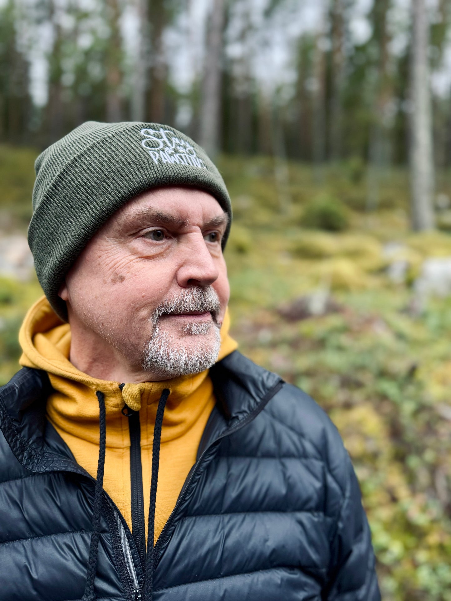 Stay Pawsitive -pipo, eri värejä