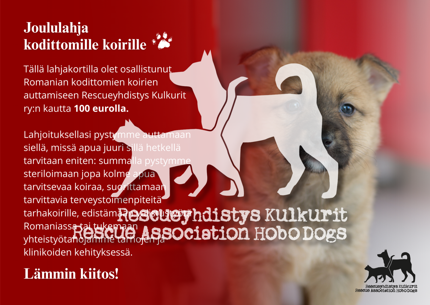 DIGITAALINEN LATAUS: joulun eettinen lahjakortti 100 €