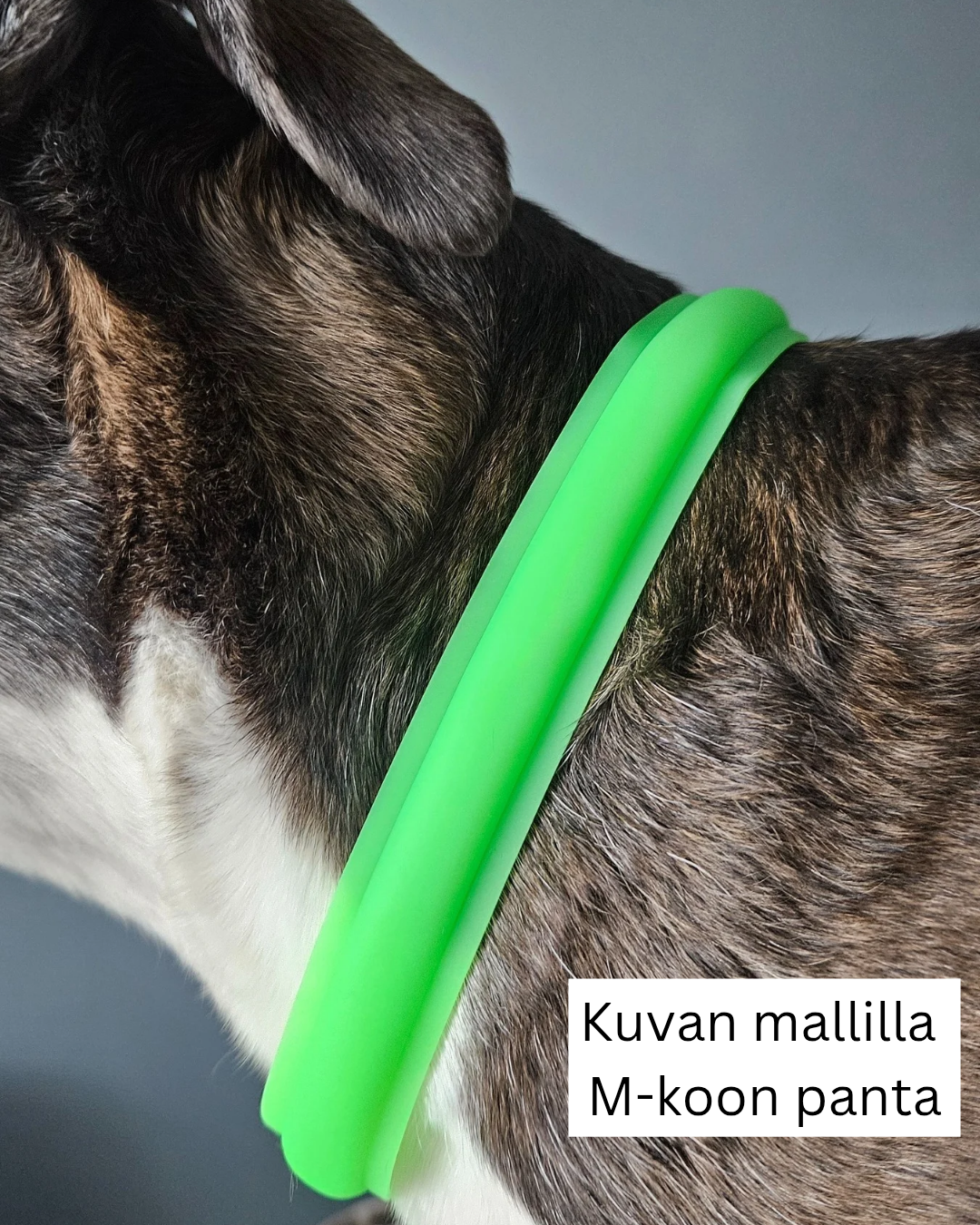 LED-valopanta, vihreä