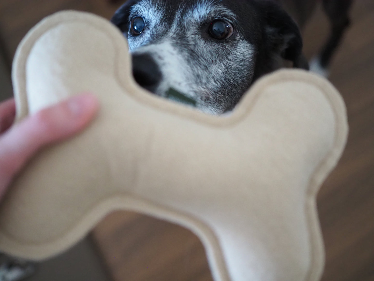 Luupehmolelu, beige