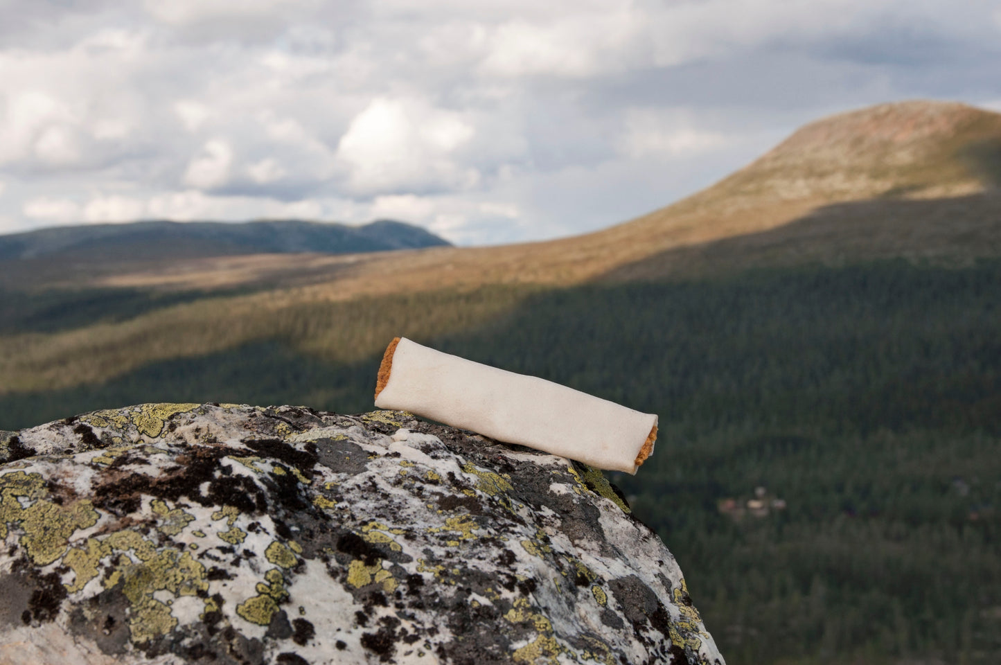 RAUH! Chicken Toast puruluu, keskikokoinen/iso
