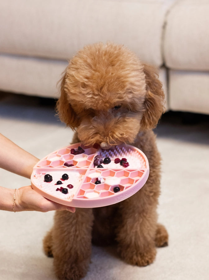 Nuolumatto (useita värejä)