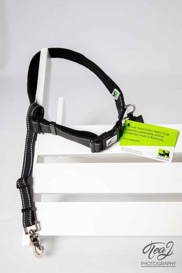 Matkalla kotiin