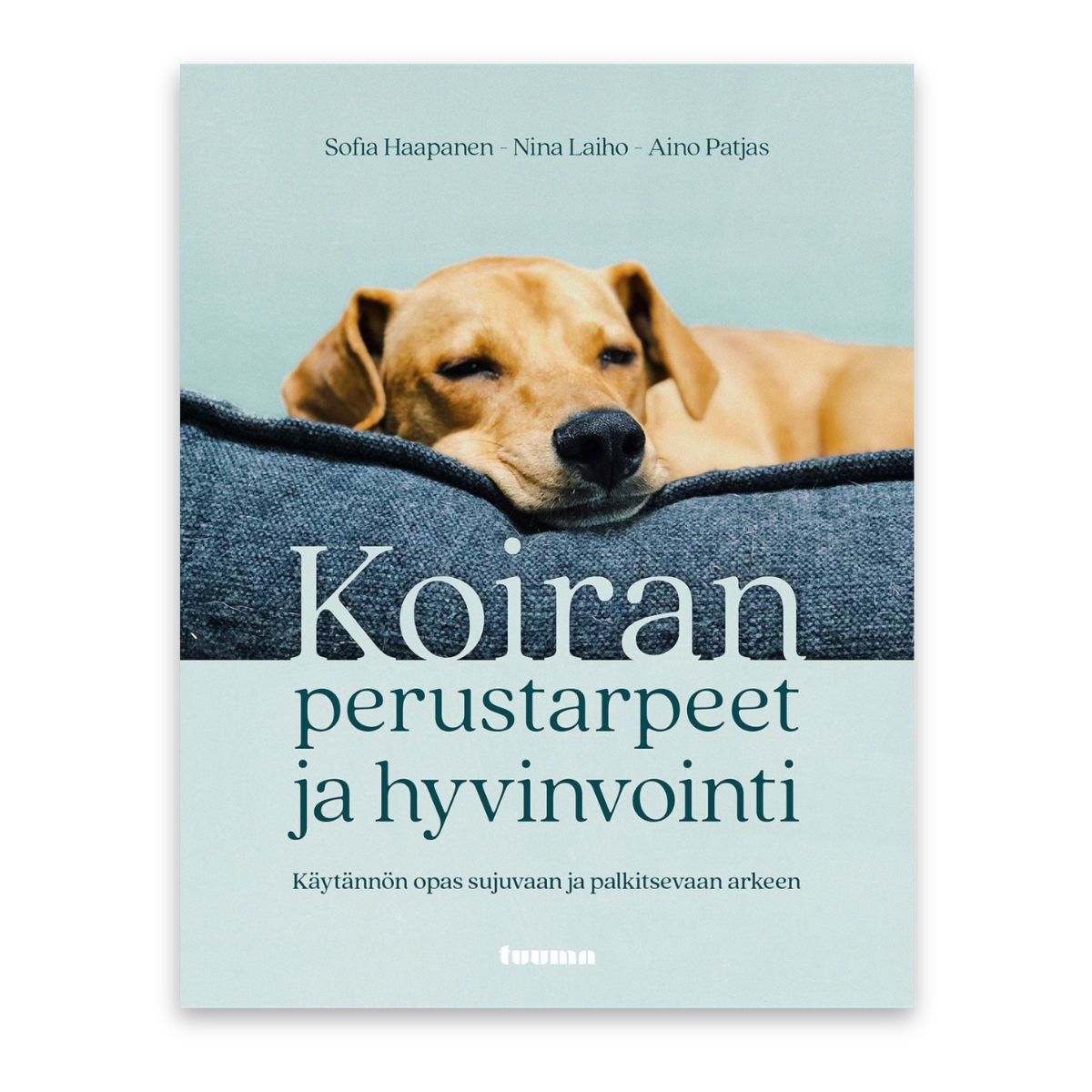 Koiran perustarpeet ja hyvinvointi – Käytännön opas sujuvaan ja palkitsevaan arkeen