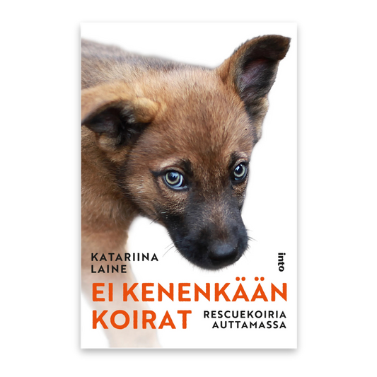 Ei kenenkään koirat – Rescuekoiria auttamassa