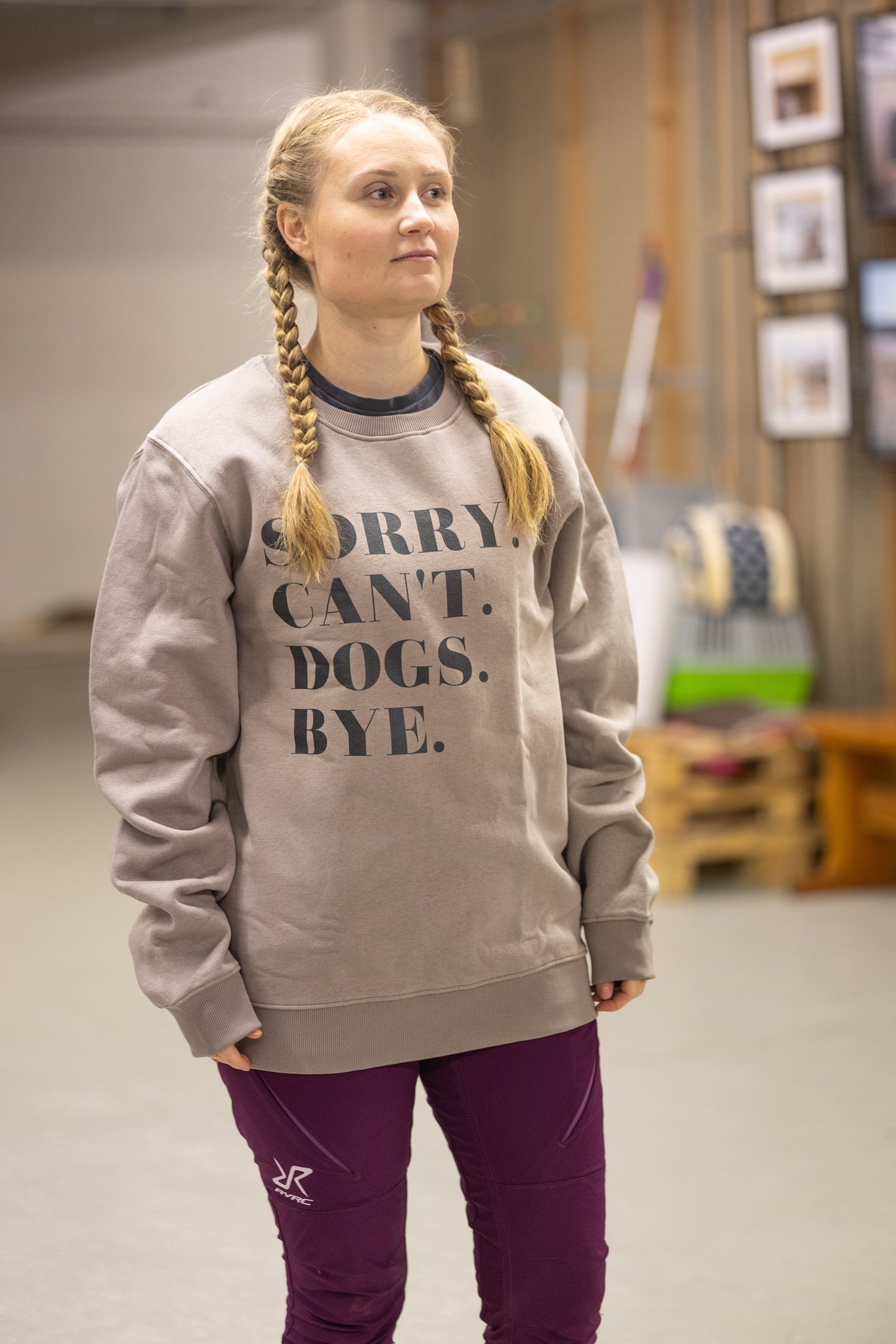 Collegepaita: Sorry. Can’t. Dogs. Bye.,  beige