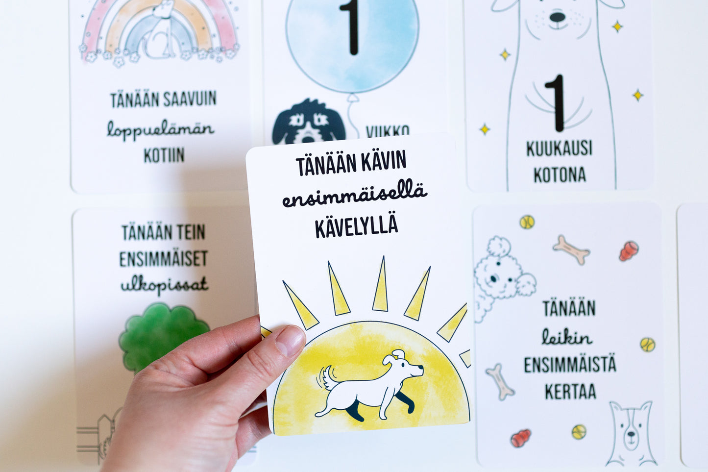 Milestone-korttisarja: Vasta kotiutuneet