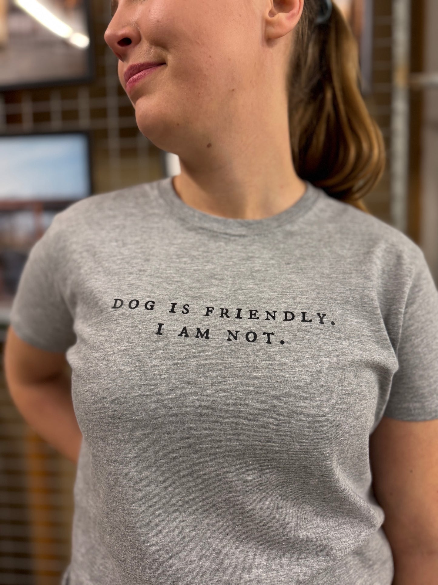 T-paita - Dog is friendly. I am not. Harmaa
