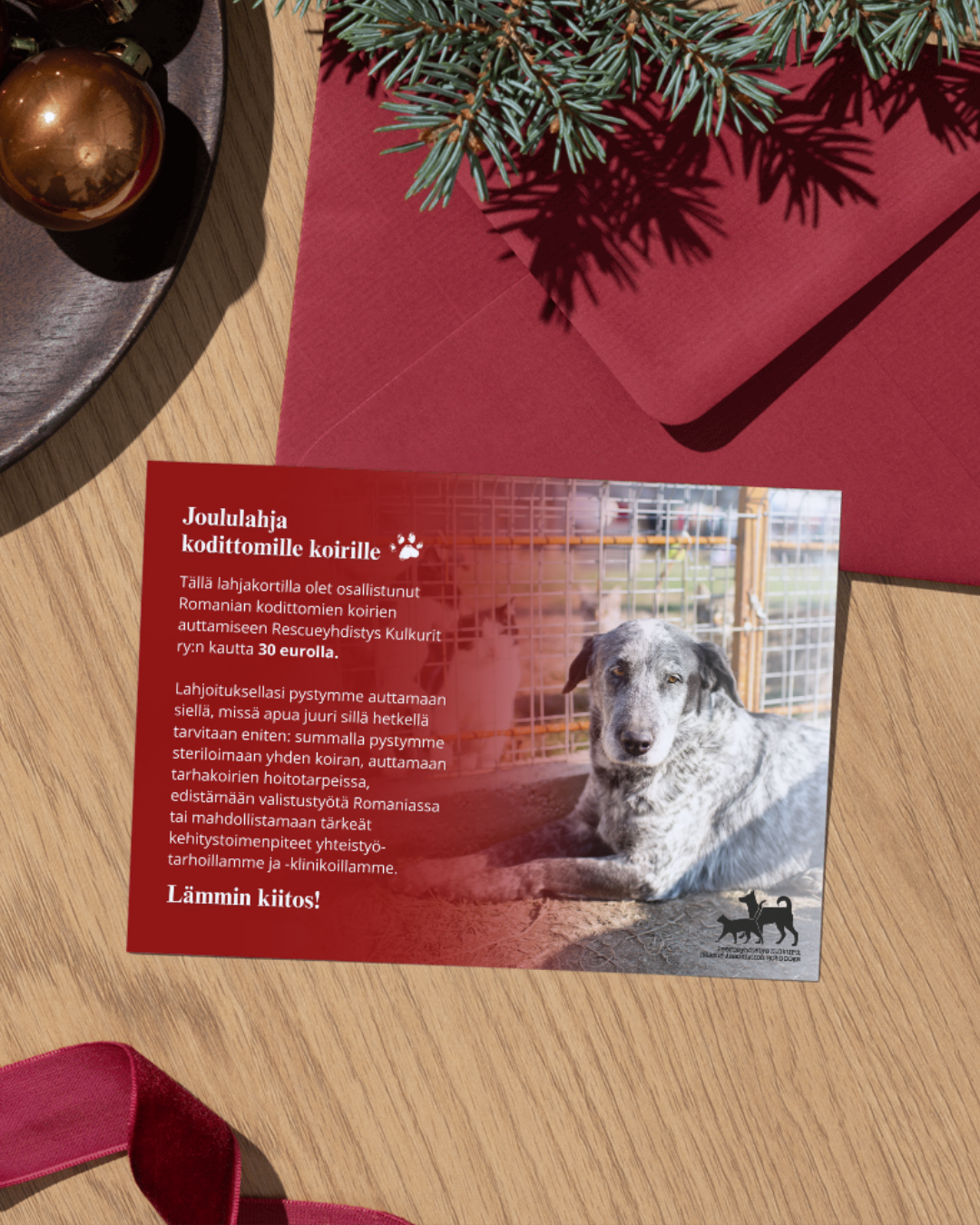 DIGITAALINEN LATAUS: Joulun eettinen lahjakortti 30€