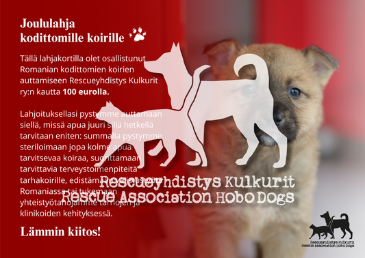 DIGITAALINEN LATAUS: joulun eettinen lahjakortti 100 €