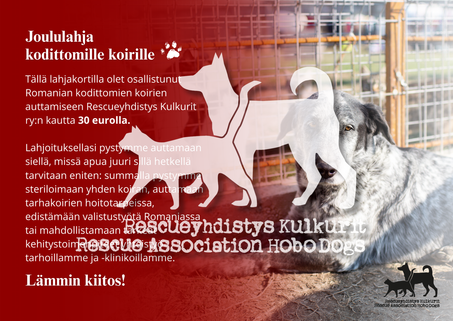 DIGITAALINEN LATAUS: joulun eettinen lahjakortti 30€