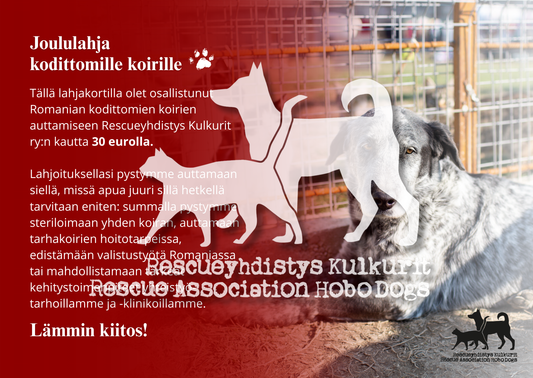 DIGITAALINEN LATAUS: joulun eettinen lahjakortti 30€