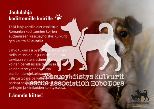 DIGITAALINEN LATAUS: joulun eettinen lahjakortti 50€