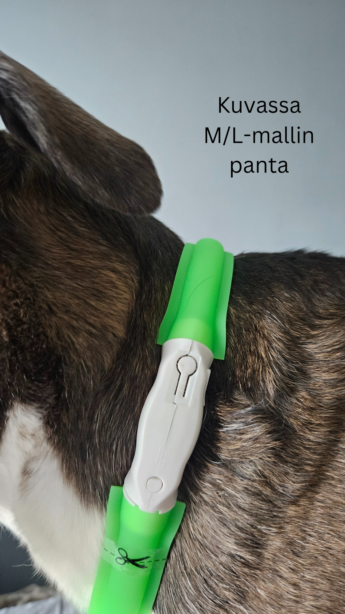 LED-valopanta, vihreä