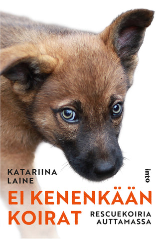 Ei kenenkään koirat – Rescuekoiria auttamassa
