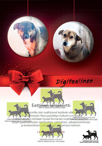 DIGITAALINEN LATAUS: Joulun eettinen lahjakortti 100€