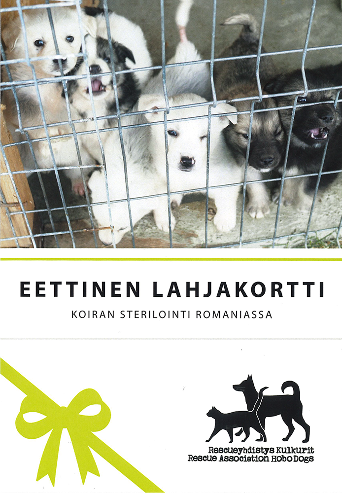 Eettinen lahjakortti: Kodittoman koiran sterilointi