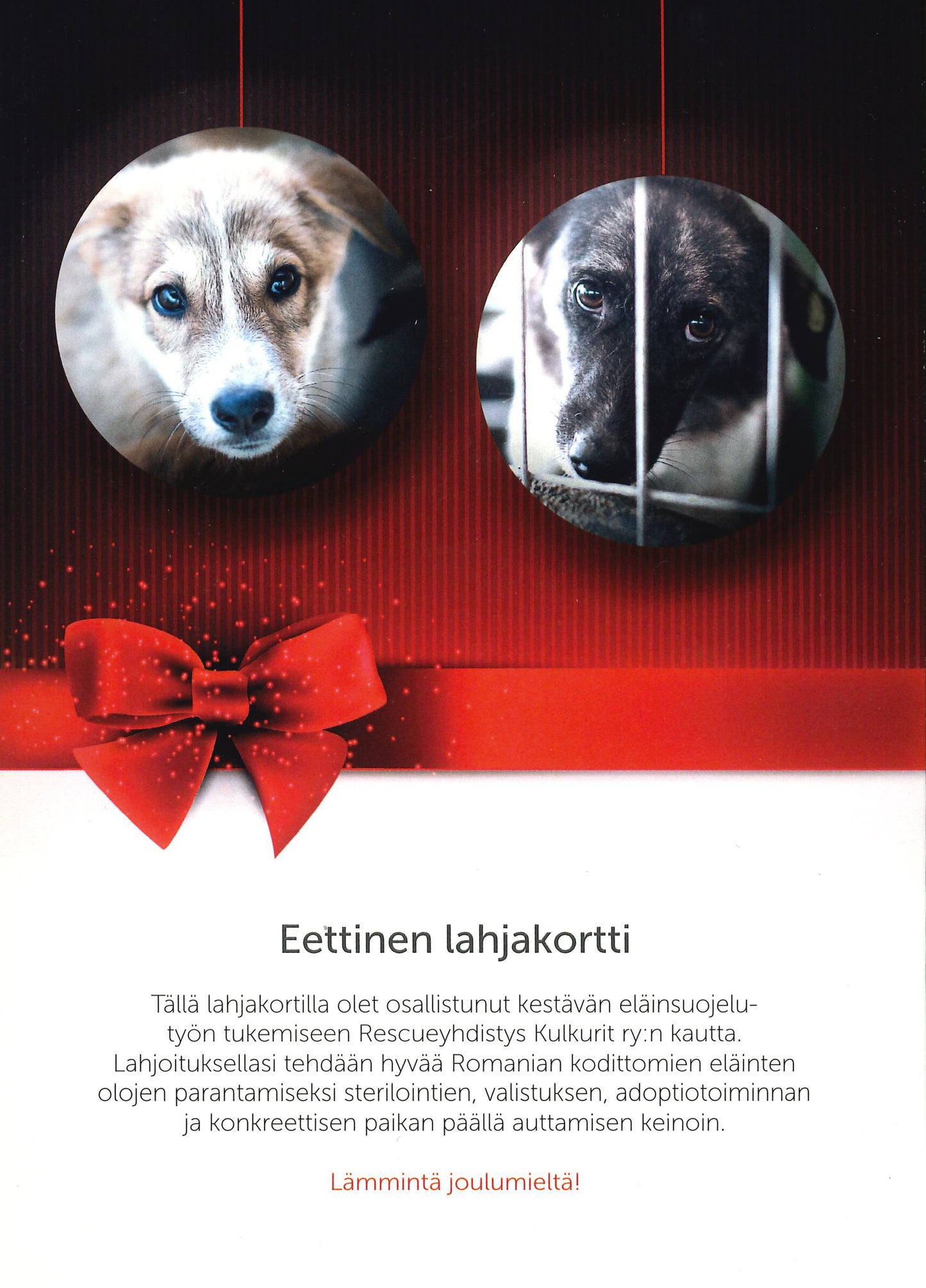 Eettinen lahjakortti: Joulun hyvän mielen lahja