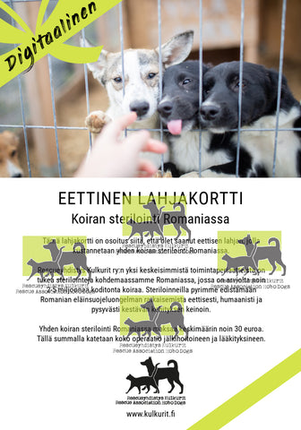 DIGITAALINEN LATAUS: Eettinen lahjakortti